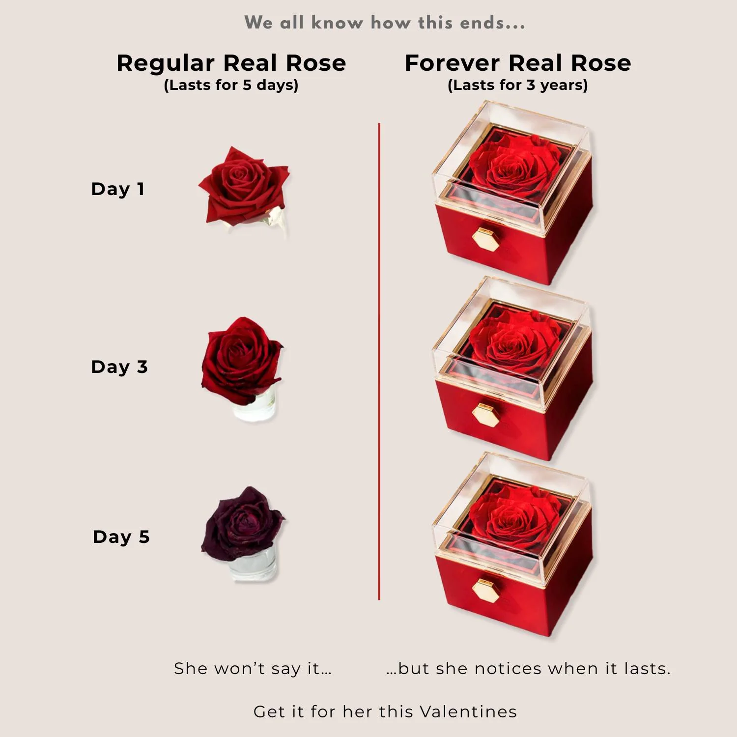 Valentine's Rotating Preserved Rose Jewellery Box With Earrings - Image 9